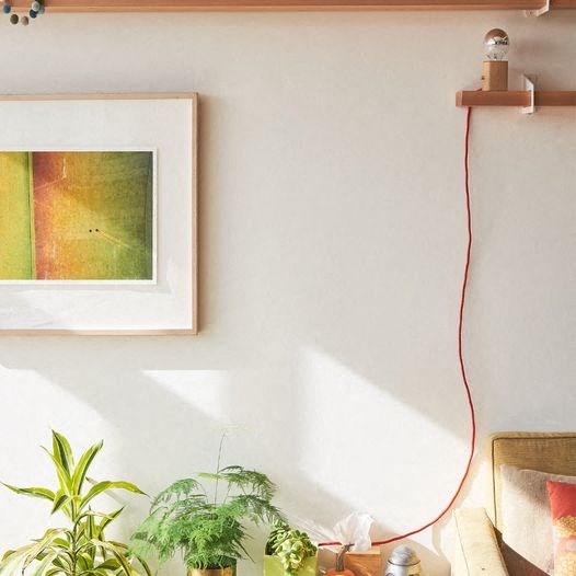 a living room with plants and a picture on the wall