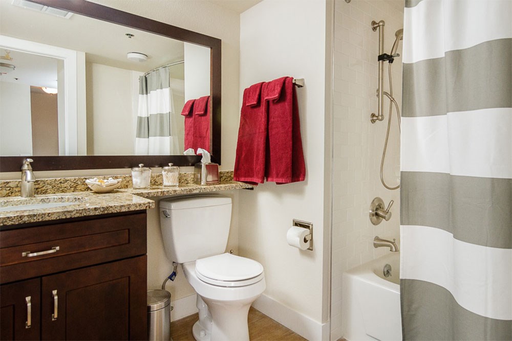 a bathroom with a shower toilet and sink and a mirror