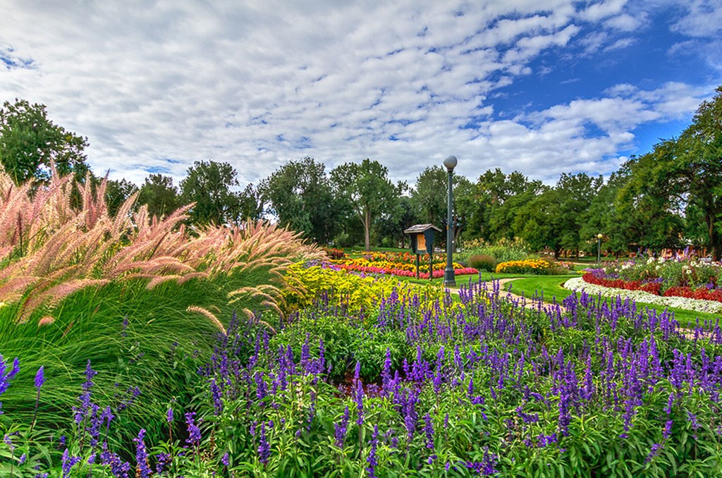 a garden with colorful flowers and a fountain