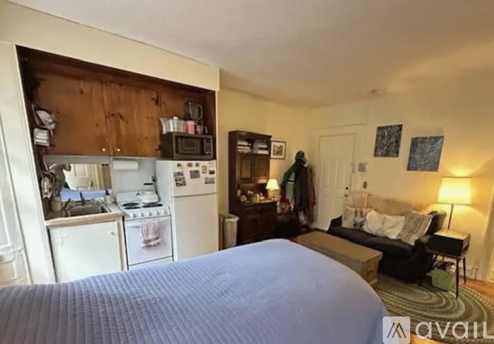 A bedroom with a bed, a couch, a kitchen area, and a living room area.