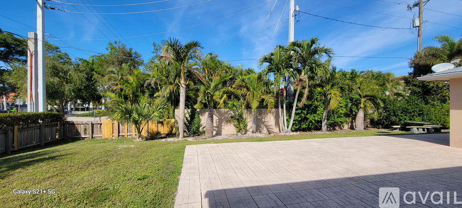 A backyard with a paved area and palm trees.
