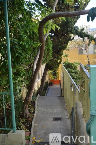 A tree branch is hanging over a concrete path.