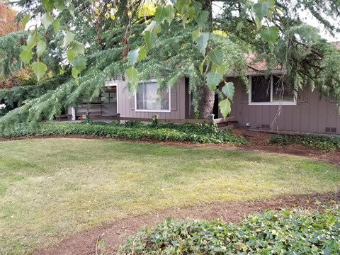 1841 NE D Street 3 Beds Apartment for Rent