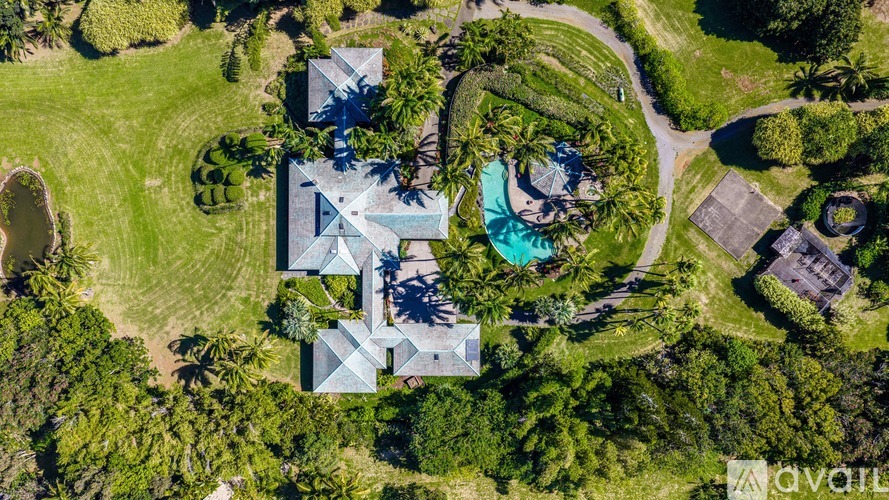 A bird's eye view of a house surrounded by greenery and a pool.