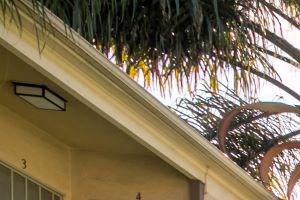 Baldwin Manor and Windsor Manor Apartments in Los Angeles Landscape - Photo Gallery 2