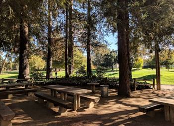 Cuesta Park