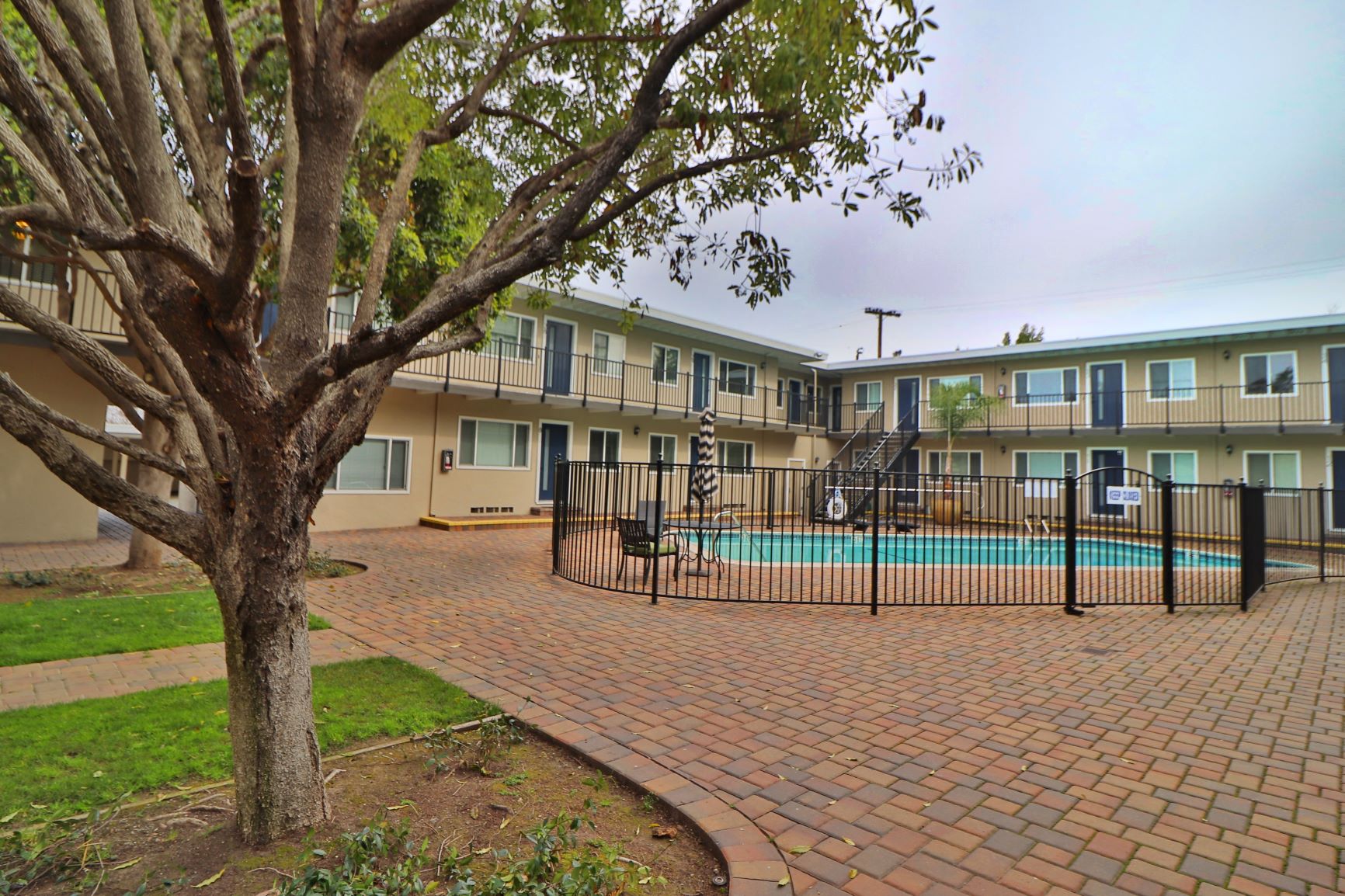 our apartments have a large pool and a courtyard with a tree