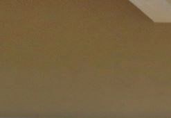 Unit Door 248 Pamela 1-2 Beds Apartment for Rent - Photo Gallery 4