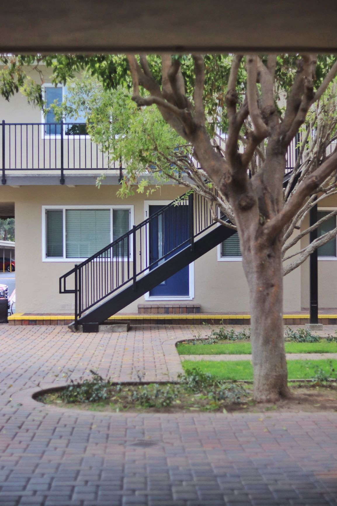 a tree in front of a building with a staircase