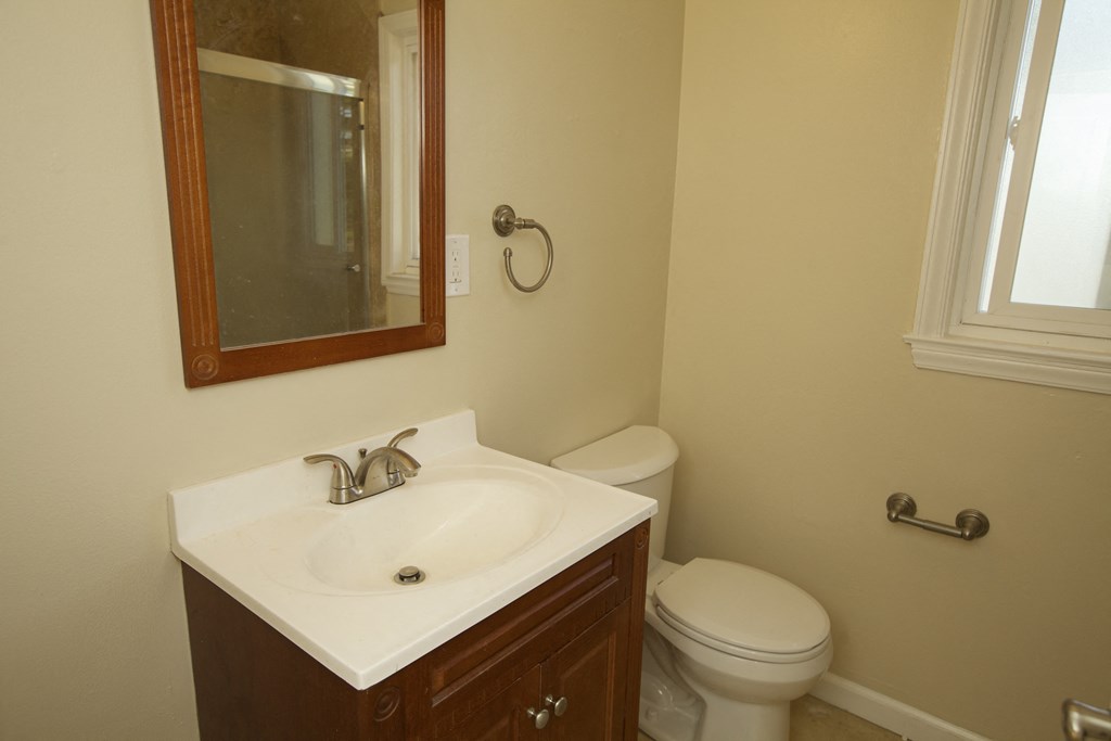 a bathroom with a sink and a toilet and a mirror