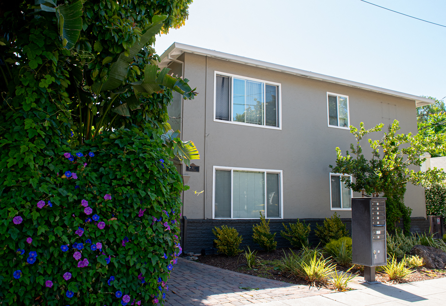 the front of a house with a yard and a mailbox