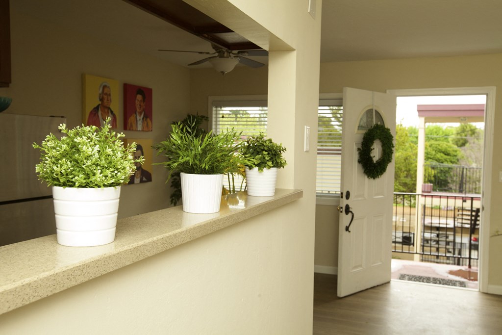 a kitchen with potted plants on a counter and a white door