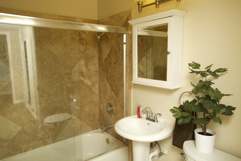 a bathroom with a shower and a sink and a mirror