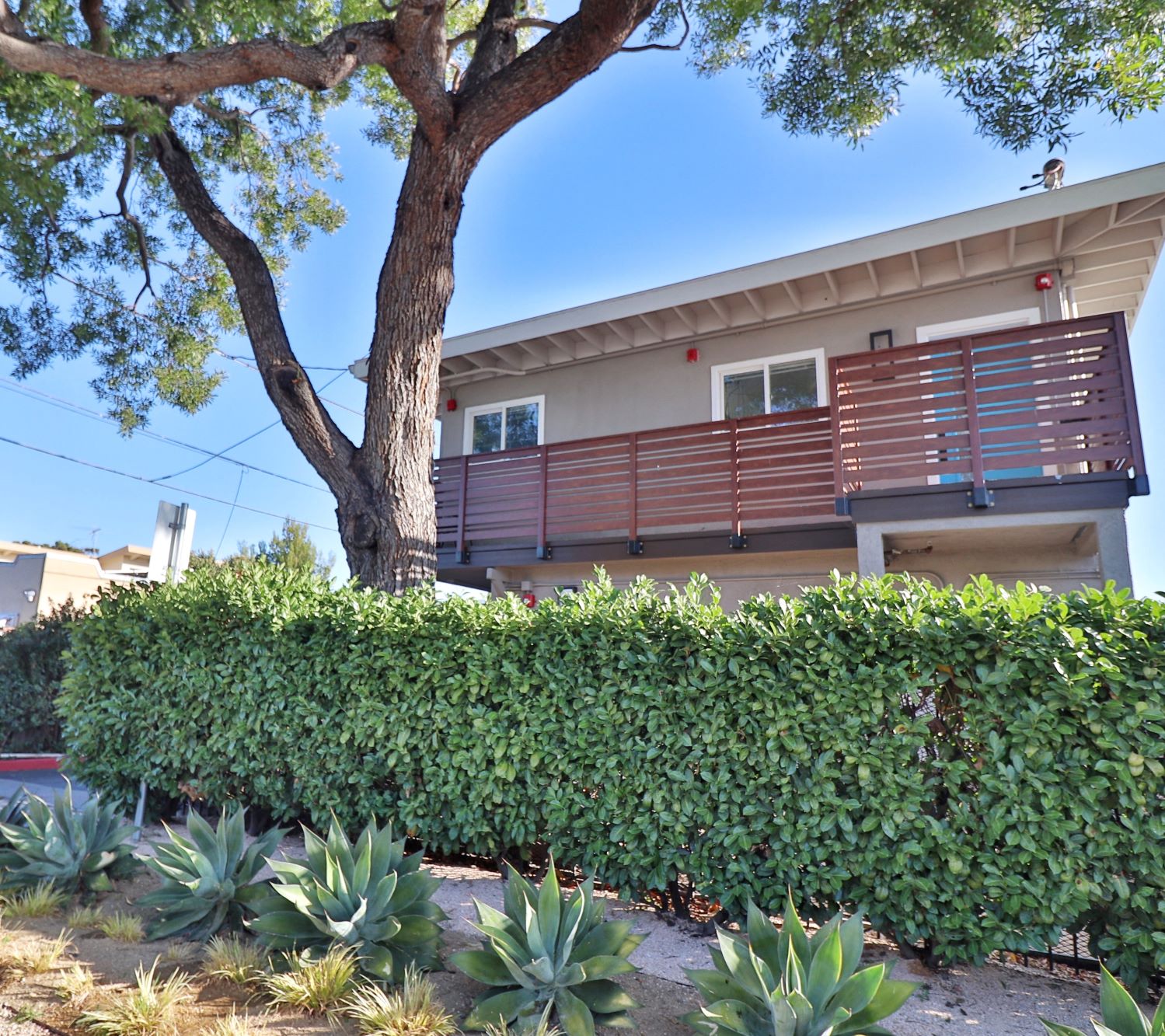 a house with a deck and a tree in front of it