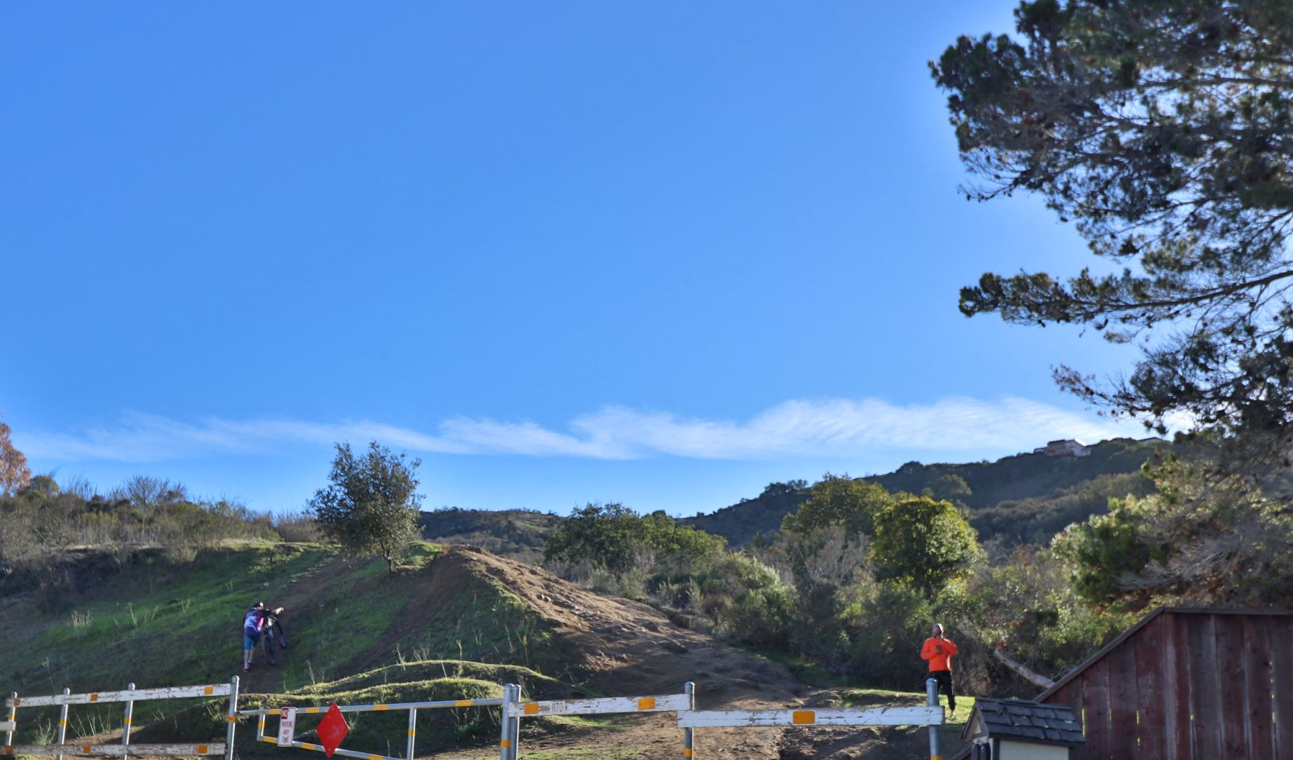 a group of people standing on a hill in a park