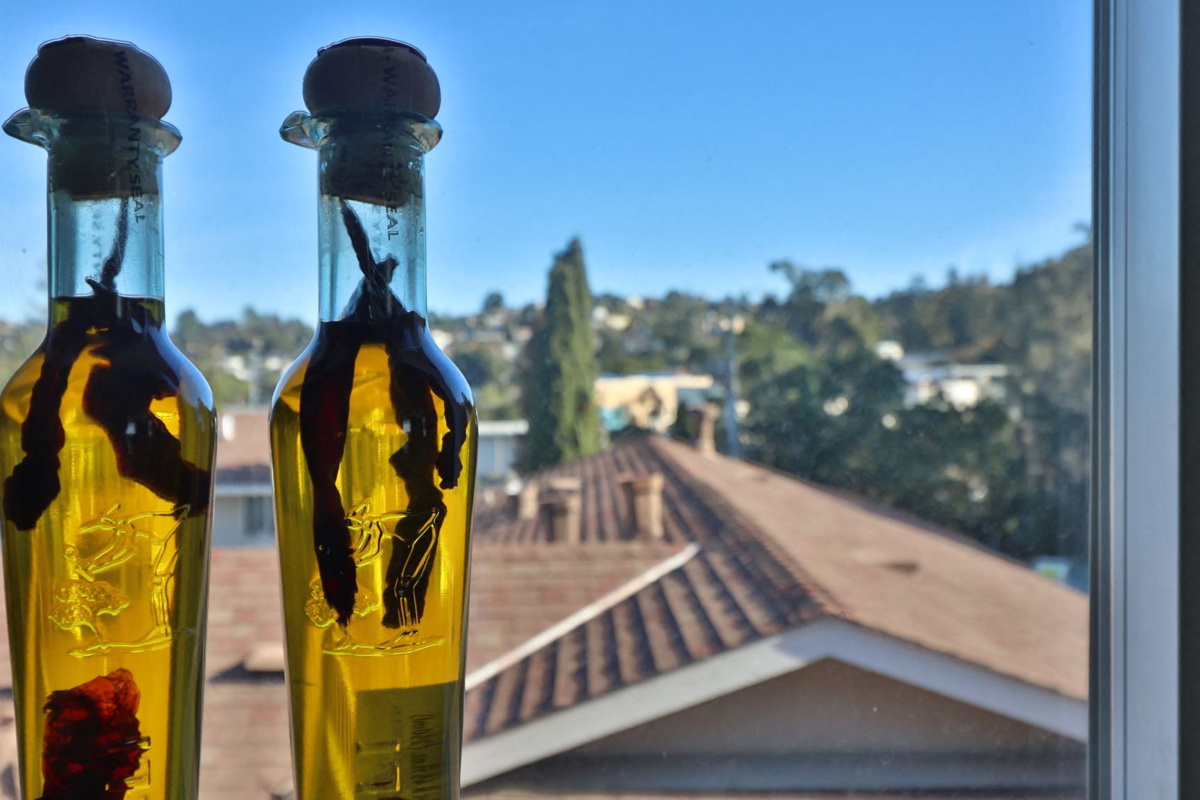 two bottles of olive oils in front of a window