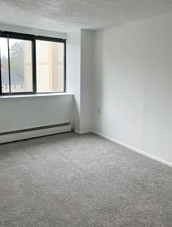 40 Jackson Street 1-3 Beds Apartment, Affordable for Rent - Photo Gallery 3