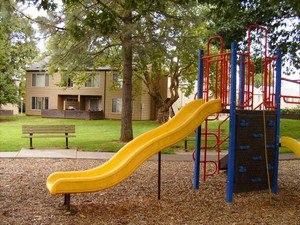 Large Courtyard with Play Structure a playground with a slide and other toys in a park