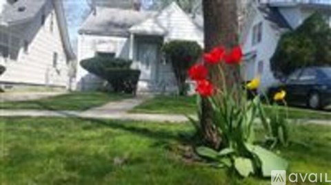 A tree with red flowers in front of a house.