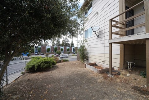 A tree is in front of a building.