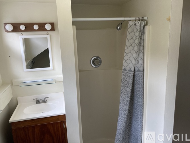 A bathroom with a shower curtain and a mirror above the sink.