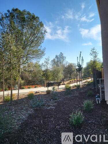 A gravel area with trees and a wooden structure in the background.