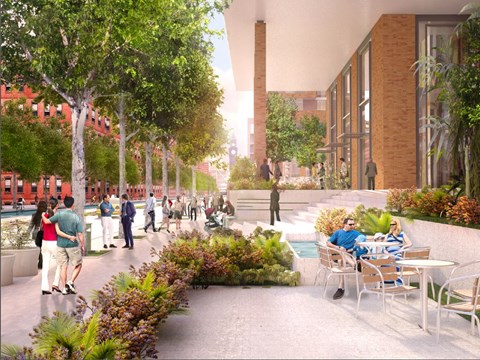 A group of people are walking and sitting in a courtyard with trees and plants.