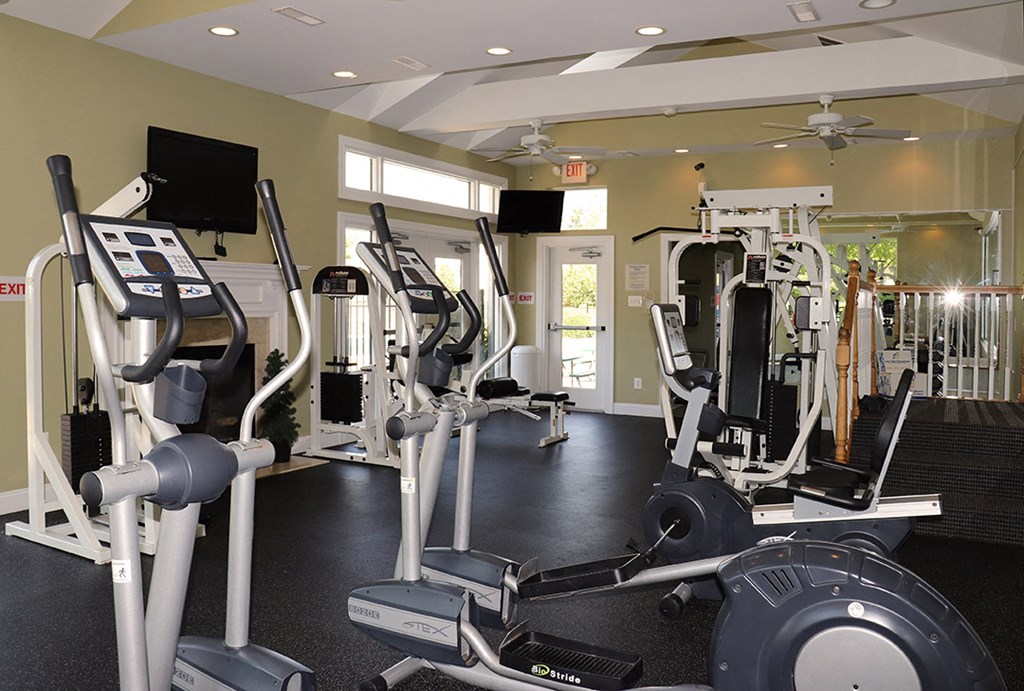a state of the art gym with cardio machines and weights