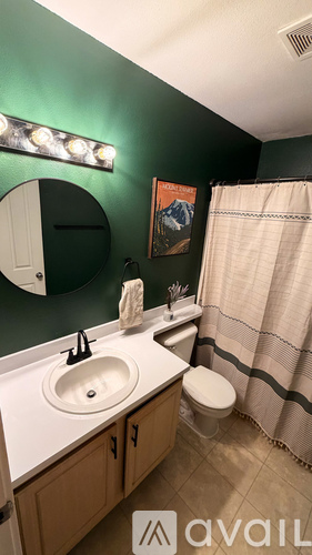 A bathroom with green walls and a white sink.