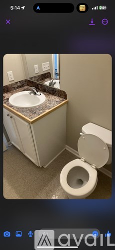 A bathroom with a toilet and a sink.