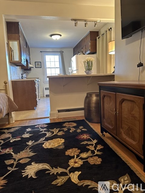 A living room with a black and gold rug on the floor.
