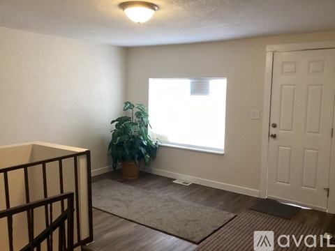 A room with a window, a door, and a potted plant.