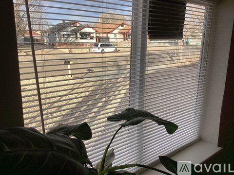 A plant sits in front of a window with blinds, looking out at a street with cars and houses.