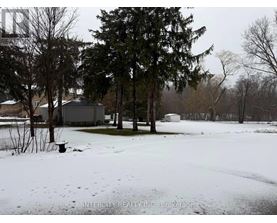 A snow-covered landscape with trees and houses in the background.
