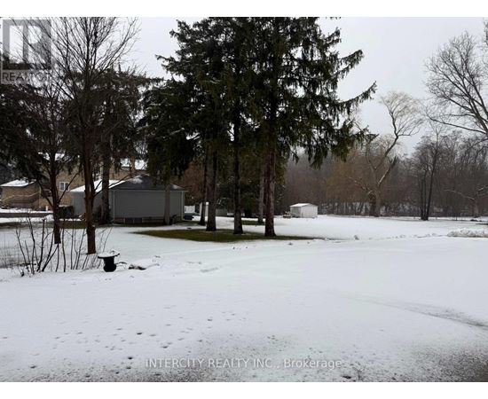 A snow-covered landscape with trees and houses in the background.