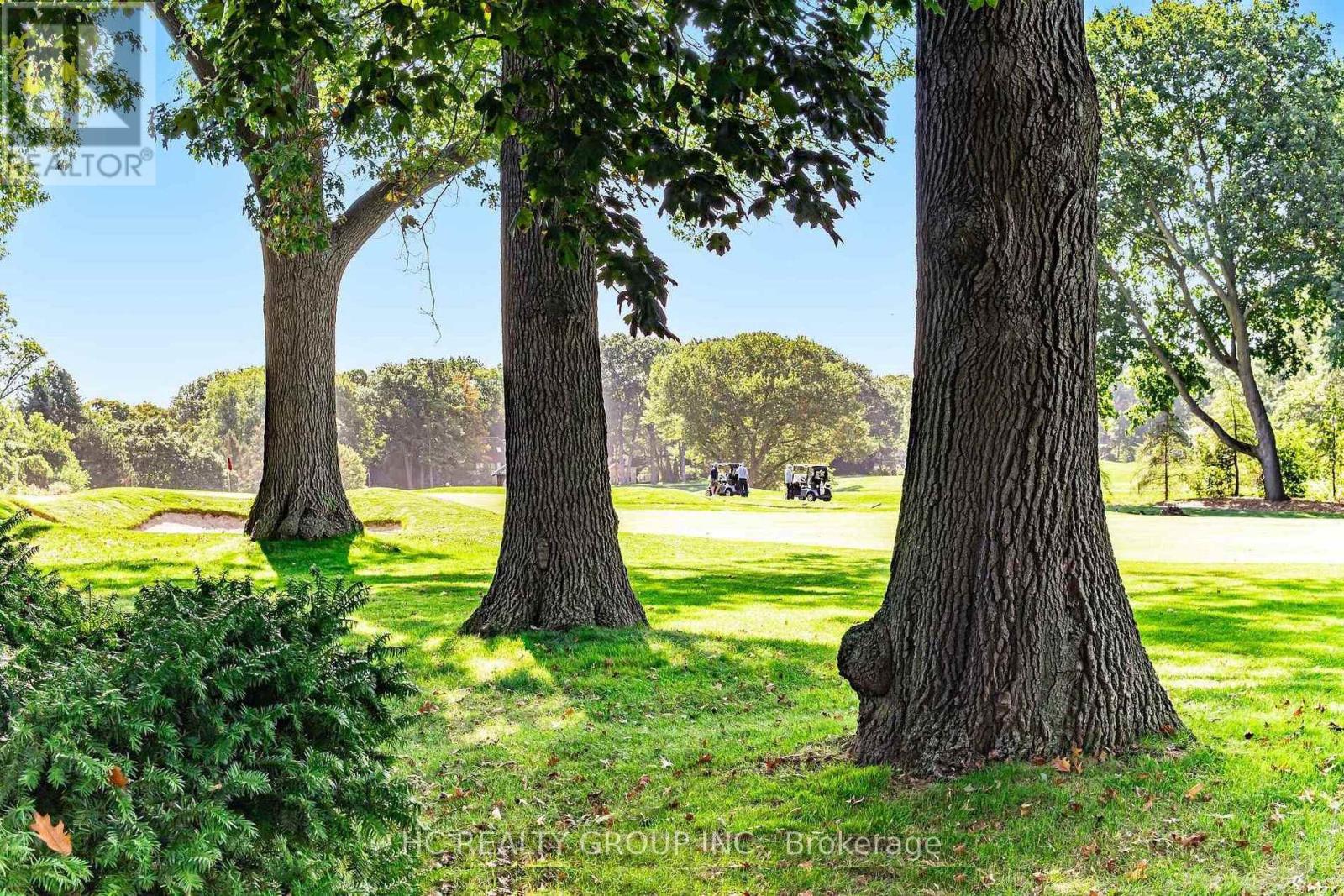 A large tree stands in a grassy field with a horse and carriage in the distance.