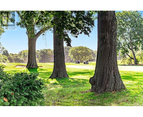 A large tree stands in a grassy field with a horse and carriage in the distance.