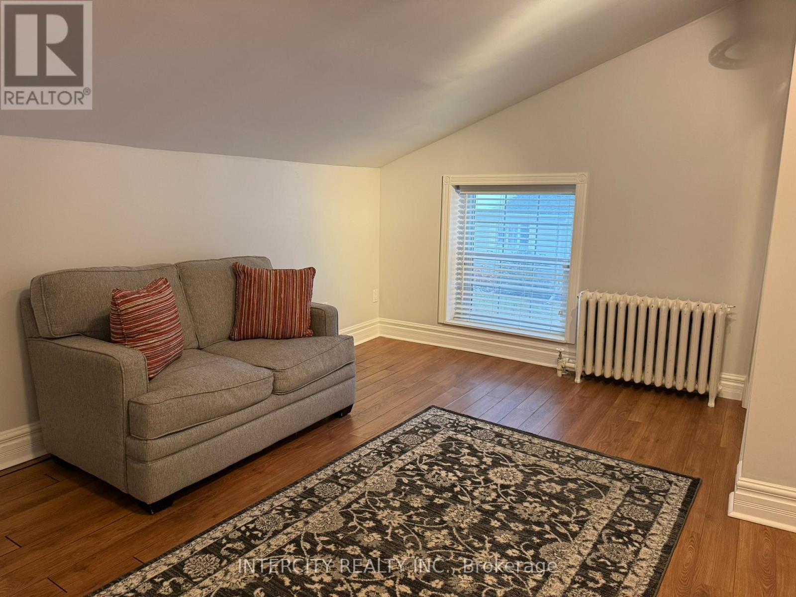 A living room with a grey couch and a rug.