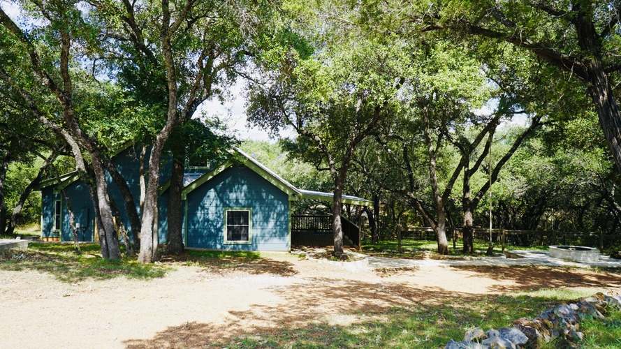 A blue house is surrounded by trees in a sunny area.