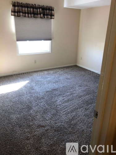 A room with a carpeted floor and a window with a checkered curtain.