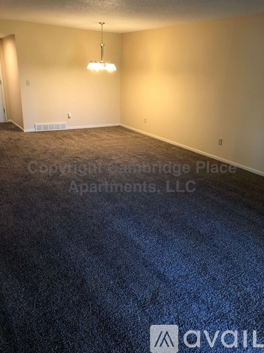 A carpeted room with a light on the ceiling.