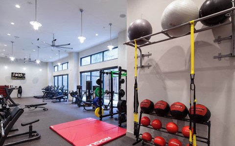 a gym with weights and other exercise equipment on a rack