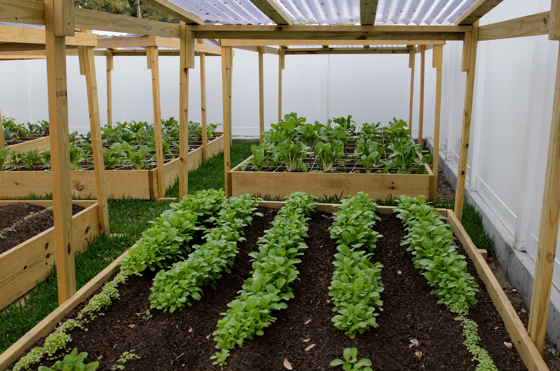 Gold Seal Lofts New Orleans Outdoors