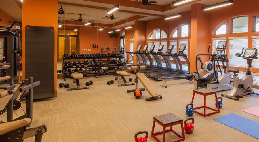 a gym with a lot of weights and other exercise equipment