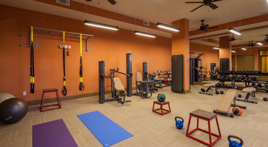 a gym with a lot of weights and exercise equipment