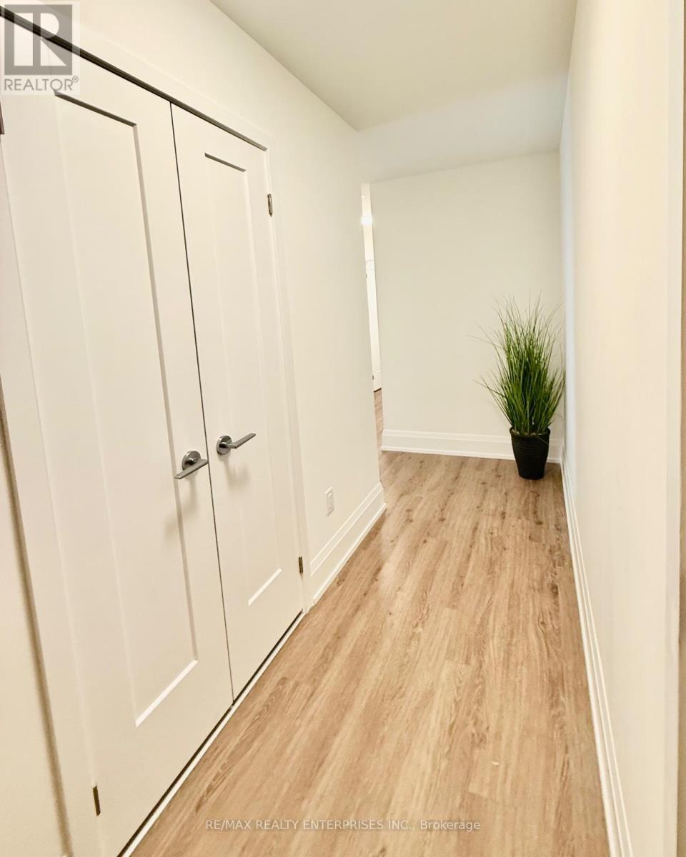 A hallway with white doors and a plant in a black pot.