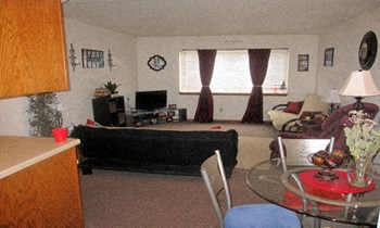 9th Avenue South 2-4 Beds Apartment for Rent - Photo Gallery 4