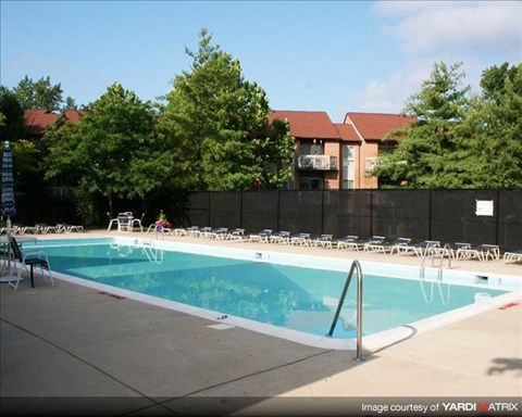 A swimming pool surrounded by a black fence and trees.