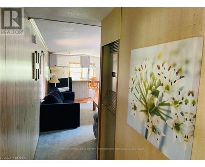 A living room with a couch and a painting of lilies on the wall.