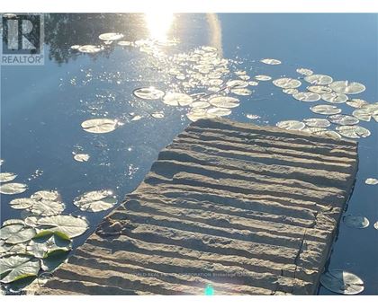 A wooden dock with lily pads floating on the water.